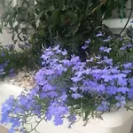 Отель типа 