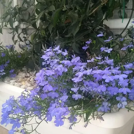 ベッド・アンド・ブレックファスト Calatabarca