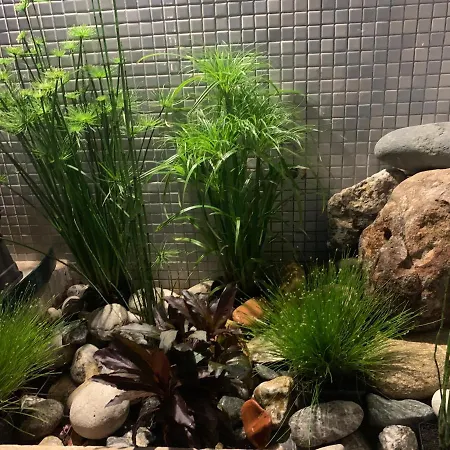 Bed & Breakfast Calatabarca