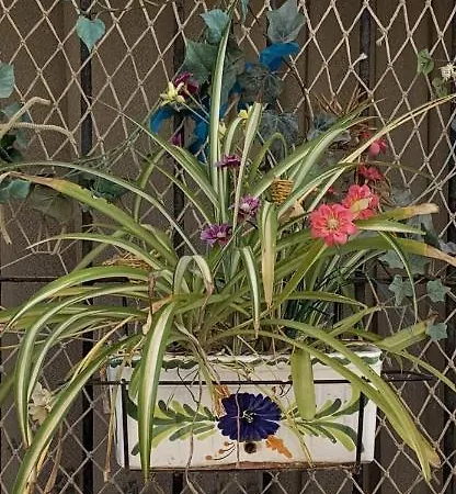 Calatabarca Bed and breakfast