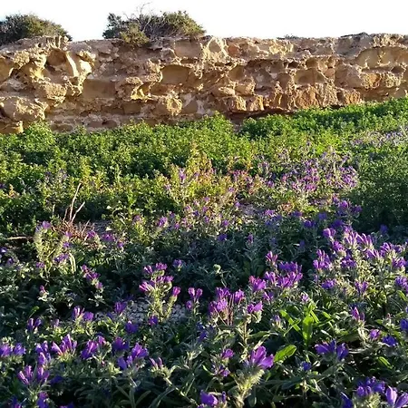 Bed & Breakfast Calatabarca Tabarca