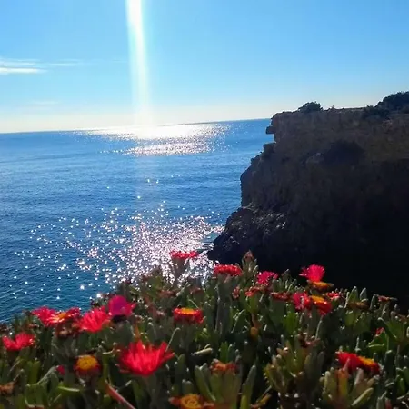 Calatabarca Isla de Tabarca