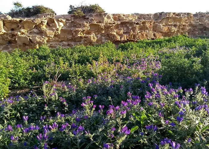 Bed and Breakfast Calatabarca Tabarca