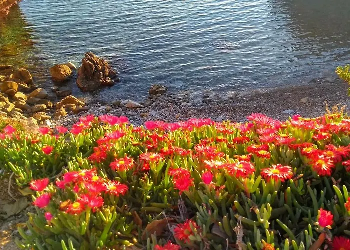 Bed and Breakfast Calatabarca Tabarca