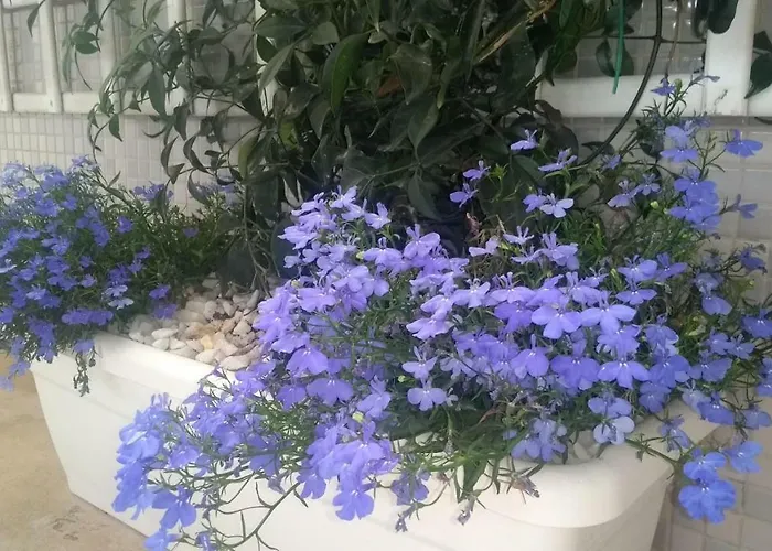 Bed and Breakfast Calatabarca