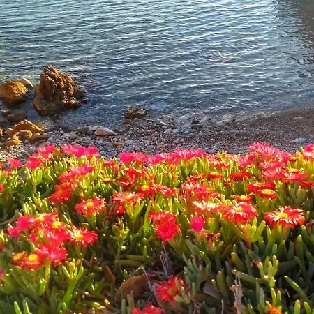 住宿加早餐酒店 Calatabarca 泰拜尔盖